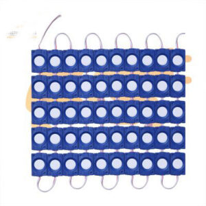12V 2.4W Bright blue color waterproof LED modules pack of 100pcs