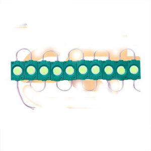 12V 2.4W Bright green color waterproof LED module pack of 20pcs