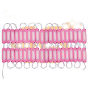 12V 2W Bright pink color waterproof LED modules pack of 100pcs