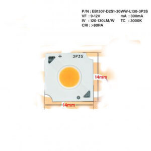 EB1307 10-12V 30WW 300mA SMD LED Light